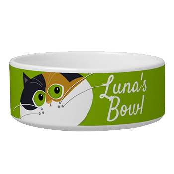 calico-cat-food-bowl