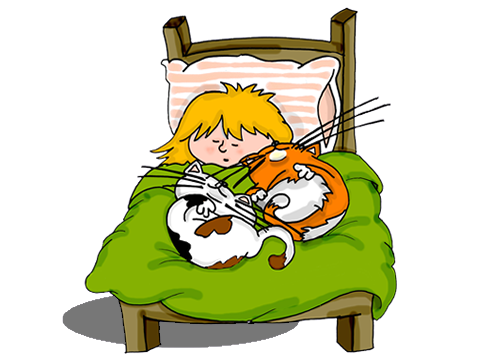 cat_sleeping_illustration