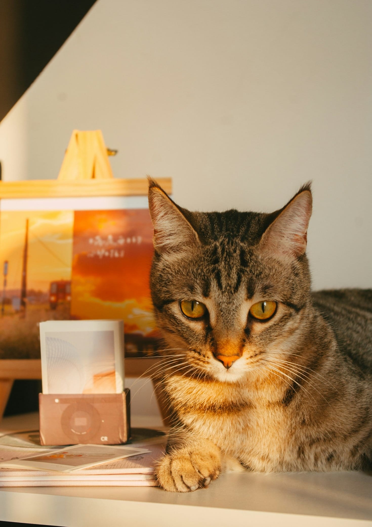 How Contest Submissions Support Charities Worldwide