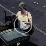 Woman throws cat into a wheelie bin