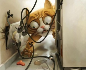 Household dangers to cats LoveCATS World