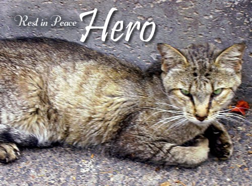 RIP Hero