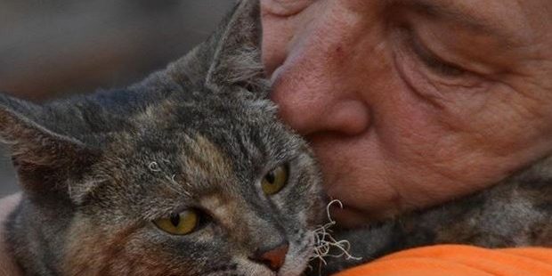 Reunited With Her Family After Surviving A Wildfire. | LoveCATS World