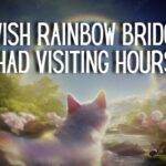 I wish Rainbow Bridge had visiting hours