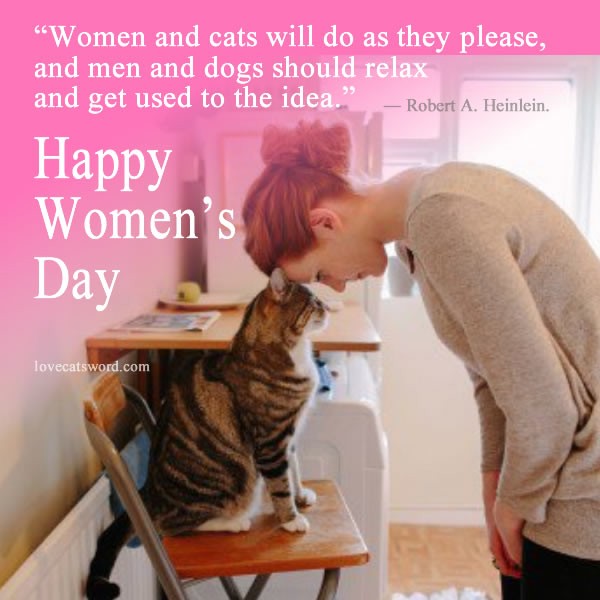Do Cats Really Prefer Women? LoveCATS World