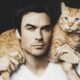 10 reasons to love a man who loves cats