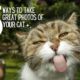 5 ways to take great photos of your cat