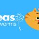 Fleas and worms in summer