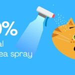 Make a 100% Natural anti-flea spray for your cat