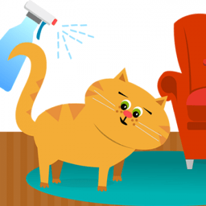 View of How to make a natural flea repellent spray | LoveCATS World