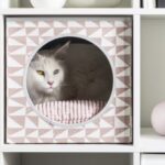 IKEA set loose 100 house cats in one of their stores