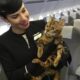 A successful flight with a cat begins long before the day of travel. It requires planning and preparation in order to make the experience as enjoyable as possible for both you and your cat.