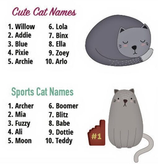 Do cats recognize their names? | LoveCATS World