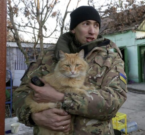 Ukrainian soldiers blessed with the companionship of stray cats