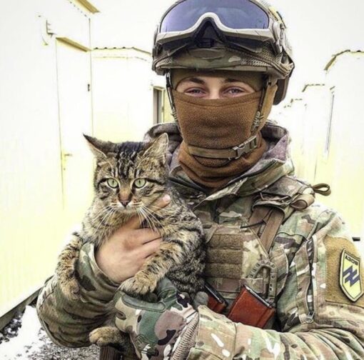 Ukrainian soldiers blessed with the companionship of stray cats