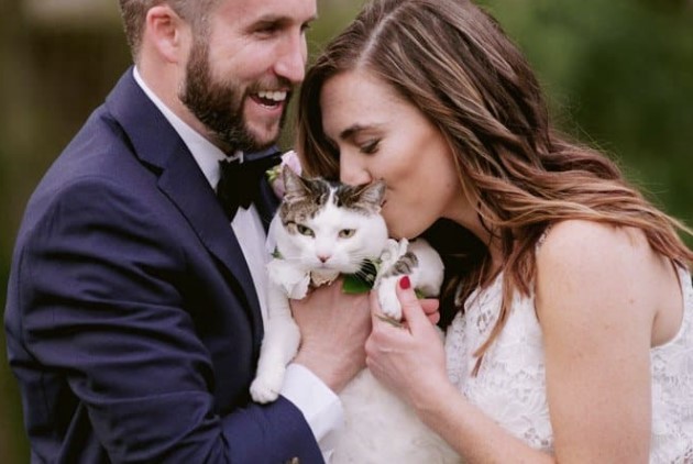 5 Adorable Ways to Include Your Cat in Your Wedding