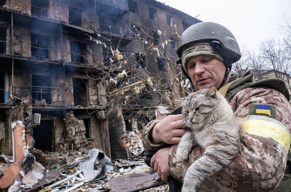 Ukrainian soldiers blessed with the love of stray cats