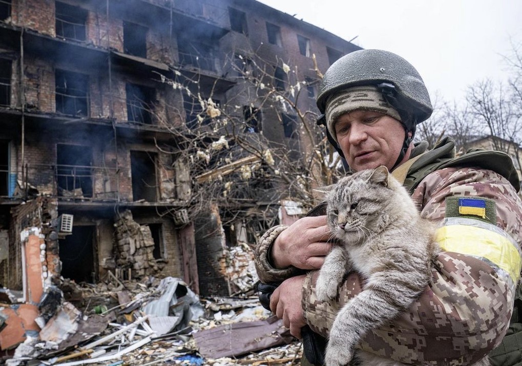 Ukrainian soldiers blessed with the love of stray cats