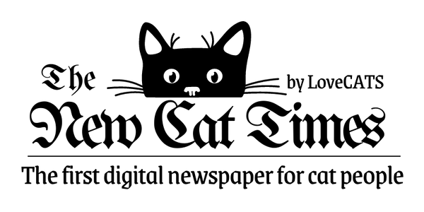 The New Cat Times - The first digital newspaper for cat people