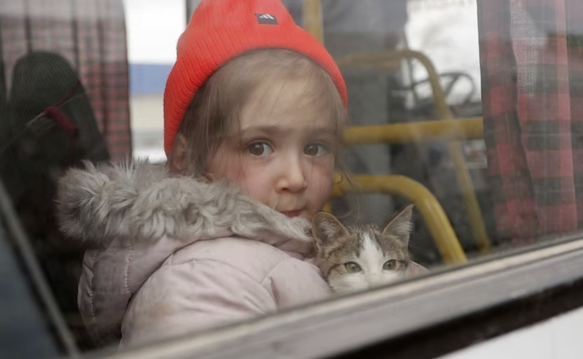 Nothing can stop Ukrainian kids from loving their cats