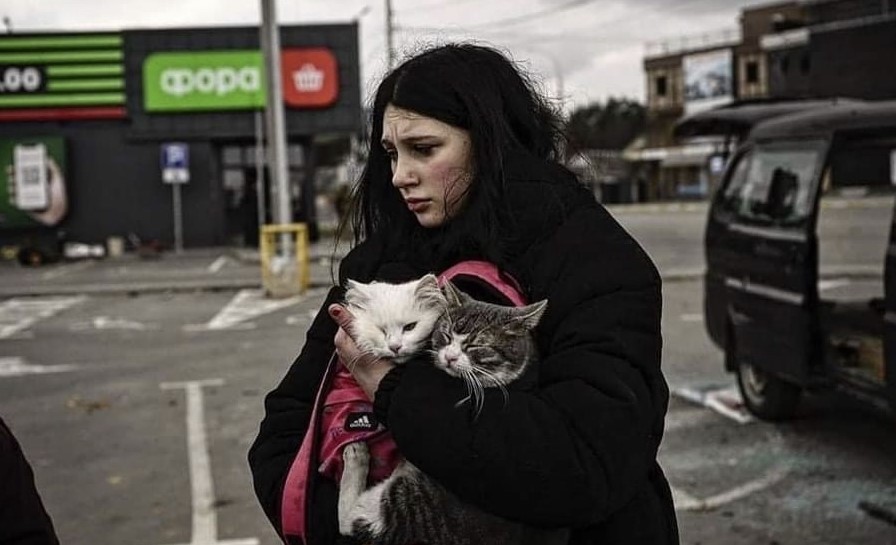 Ukrainian cat people get handed out food for their hungry kitties