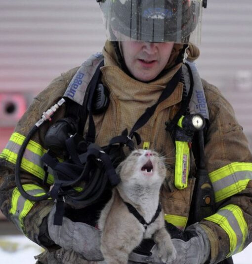 Can’t be a fireman without saving a cat