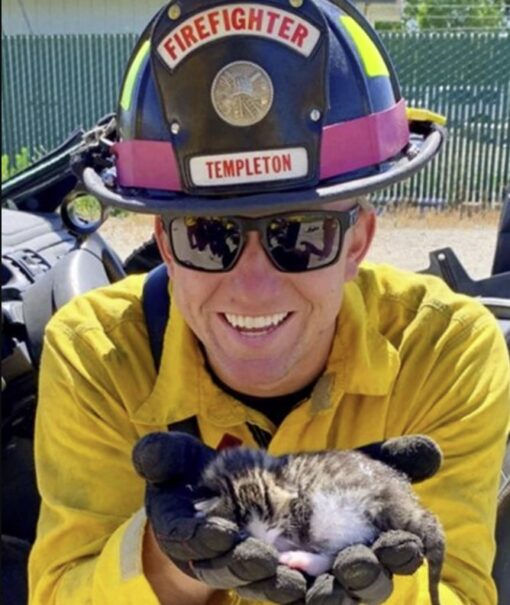 Can’t be a fireman without saving a cat