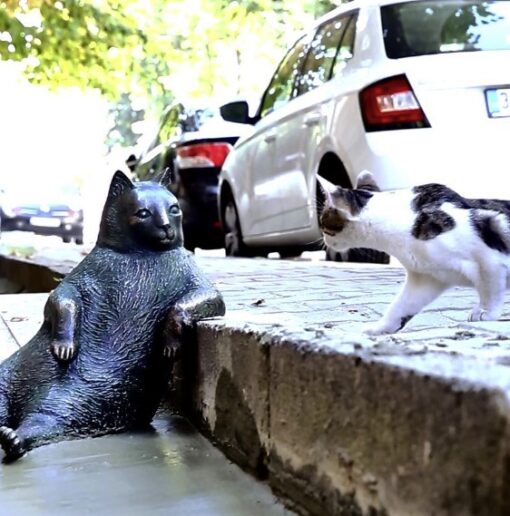 Tombili, the Turkish cat who got her very own statue