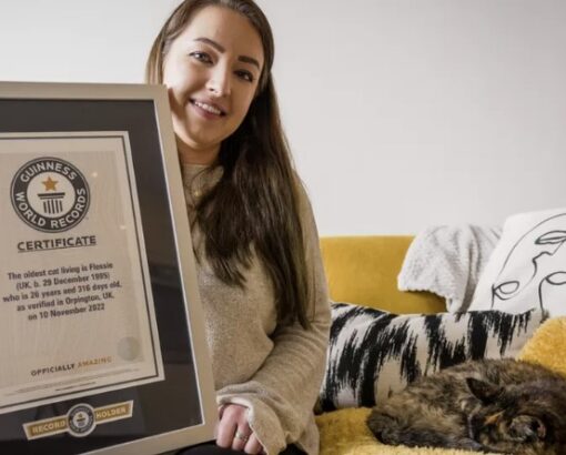 Beautiful senior tortie is officially crowned 'World's oldest cat'