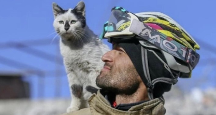 Cat saved from under the rubble refuses to leave rescuer’s side