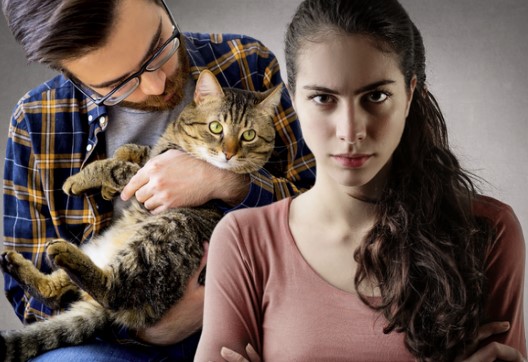 Is it fair to put your cats before your partner?