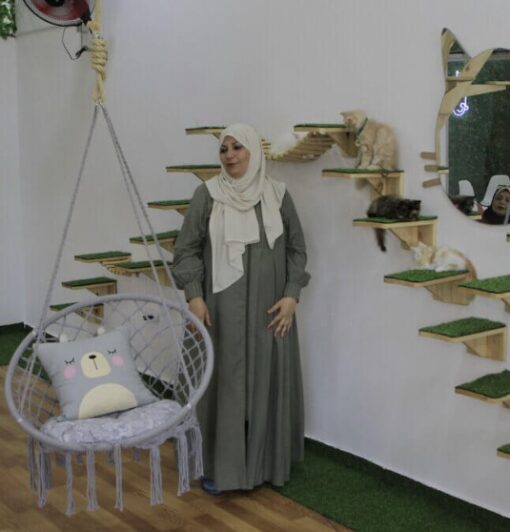 Cat café brings pawsitivity to cat people in Gaza