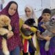 Cats Simsim, Brownie and Liza are giving rare moments of joy to children in Gaza