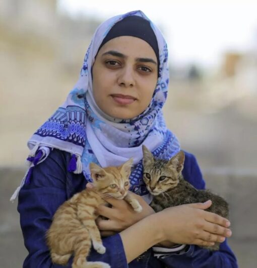 Mariam and her sisters give shelter to homeless cats in Gaza