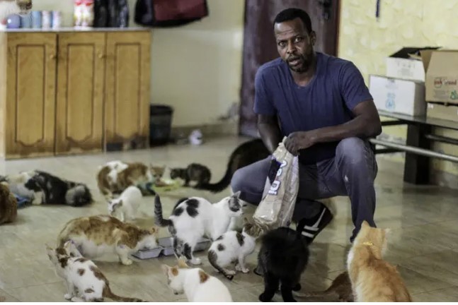 Saeed gives shelter to 40 homeless cats rescued in Gaza
