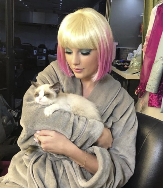 Benjamin Button Is Cat Of The Year LoveCATS World Benjamin Button Is Cat Of The Year LoveCATS World