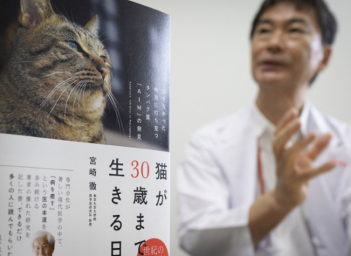 Japanese scientist develops treatment that could help cats live up to 30 years