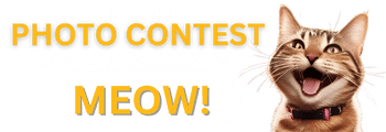 Join our community MEOW!